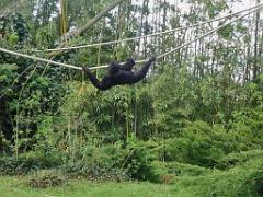 149 BIO PARC DE DOUE LA FONTAINE 7- 2016_000022